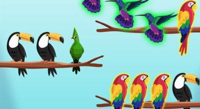 Bird Sort Challenges - crazygames,crazy games,free games,h5 game, free play,free crazy games