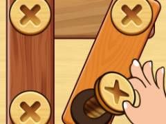 Screw Nuts Bolts: Wood Solve - crazygames