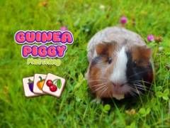 Guinea Piggy Matching - crazygames,crazy games,free games,h5 game, free play,free crazy games