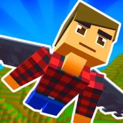 Elytra Flight - crazygames