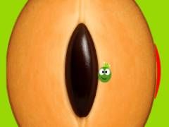 SapotaGo - crazygames