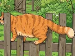 Cat Escape 2026 - crazygames,crazy games,free games,h5 game, free play,free crazy games