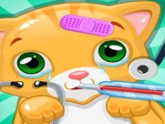 Cat Doctor Save my Cat - crazygames,crazy games,free games,h5 game, free play,free crazy games