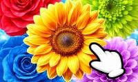 The Flowers: Merge and Sell Bouquets - crazygames,crazy games,free games,h5 game, free play,free crazy games