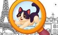 Find Hidden Cats - crazygames,crazy games,free games,h5 game, free play,free crazy games