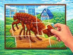 Torn Pieces - crazygames,crazy games,free games,h5 game, free play,free crazy games