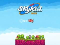 Mini Sky Helicopter - crazygames,crazy games,free games,h5 game, free play,free crazy games