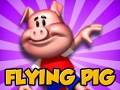 Flying Pig - crazygames,crazy games,free games,h5 game, free play,free crazy games