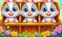 Bunnies Sort - crazygames,crazy games,free games,h5 game, free play,free crazy games