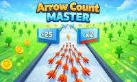 Arrow Count Master - crazygames,crazy games,free games,h5 game, free play,free crazy games