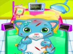 ASMR Cat Doctor Clinic - crazygames,crazy games,free games,h5 game, free play,free crazy games