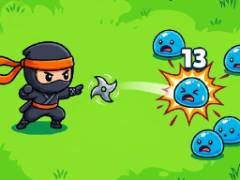 Shinobi Swarm - crazygames,crazy games,free games,h5 game, free play,free crazy games