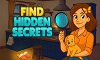 Find Hidden Secrets - crazygames
