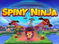 Spiny Ninja - crazygames